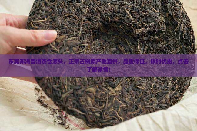 东莞邦海普洱茶仓源头