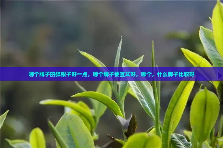 哪个牌子的碎银子好一点