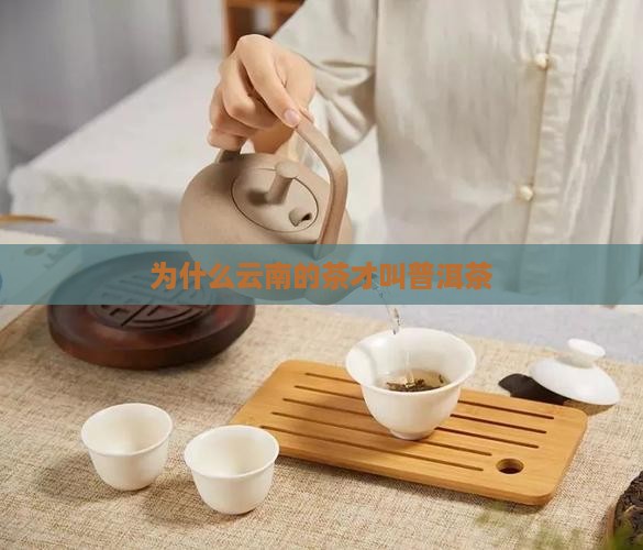 为什么云南的茶才叫普洱茶