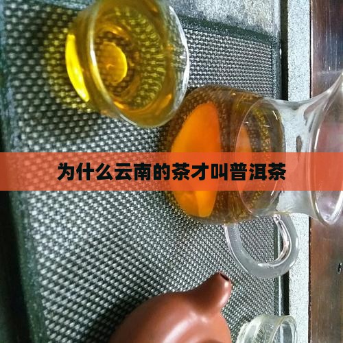 为什么云南的茶才叫普洱茶