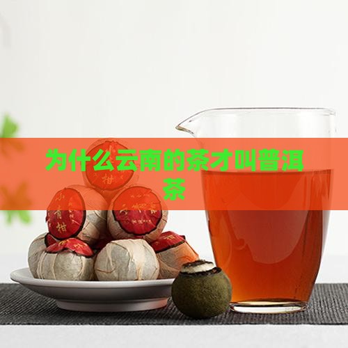 为什么云南的茶才叫普洱茶