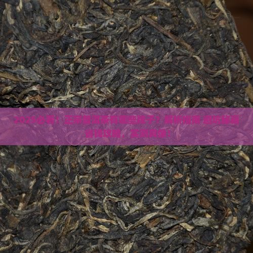 正宗普洱茶品牌有哪些牌子的