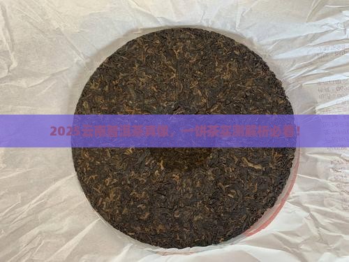 一饼云南普洱茶