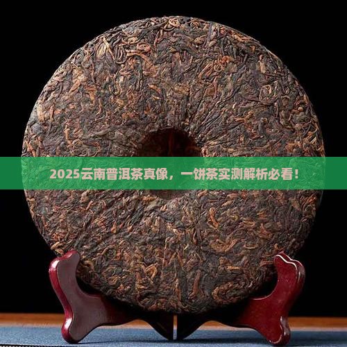 一饼云南普洱茶