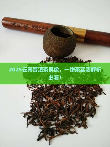 一饼云南普洱茶