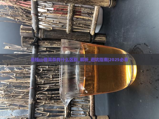 曼桂山普洱茶有什么区别