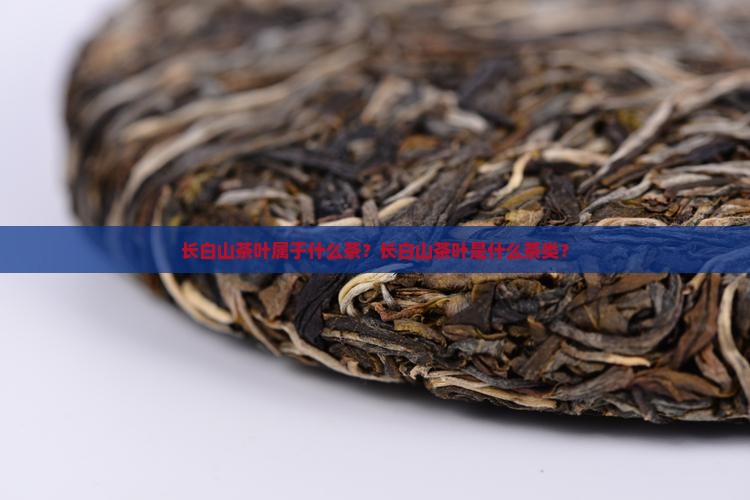 长白山茶叶属于什么茶