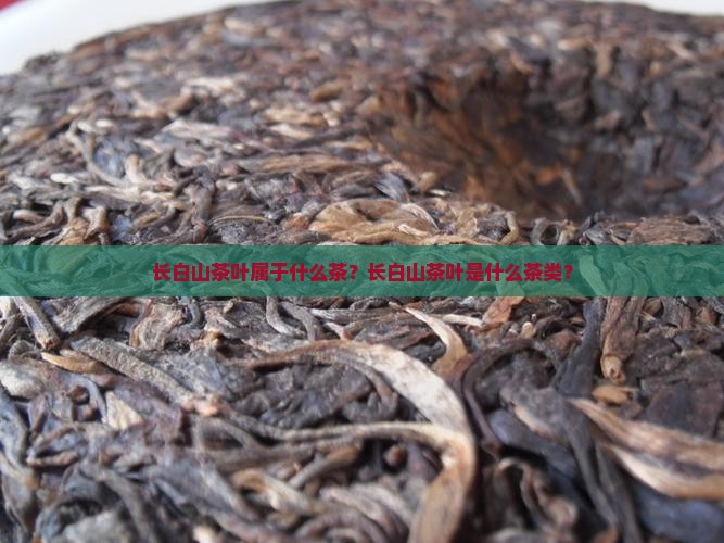 长白山茶叶属于什么茶