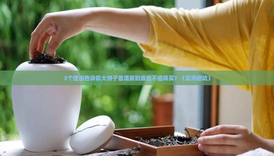 大饼子普洱茶怎么样