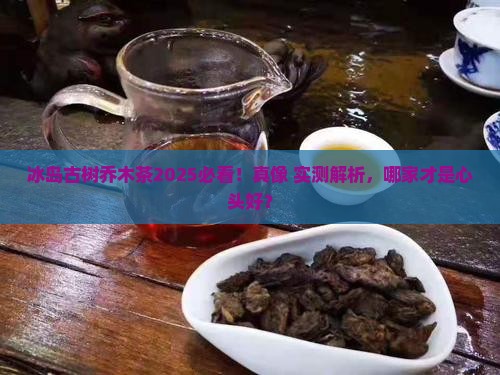 冰岛古树乔木茶哪家好