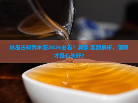 冰岛古树乔木茶哪家好