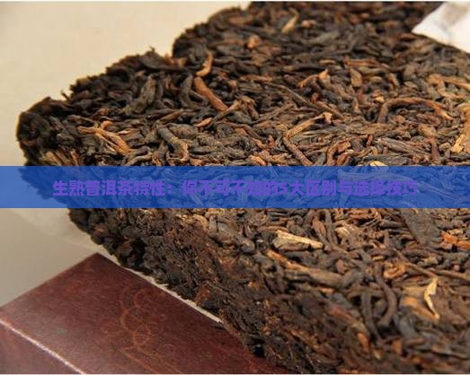 生熟普洱茶特性
