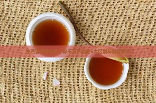生熟普洱茶特性