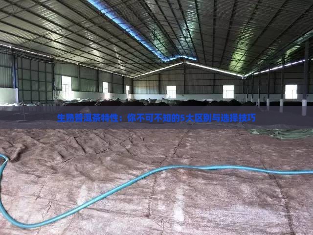 生熟普洱茶特性