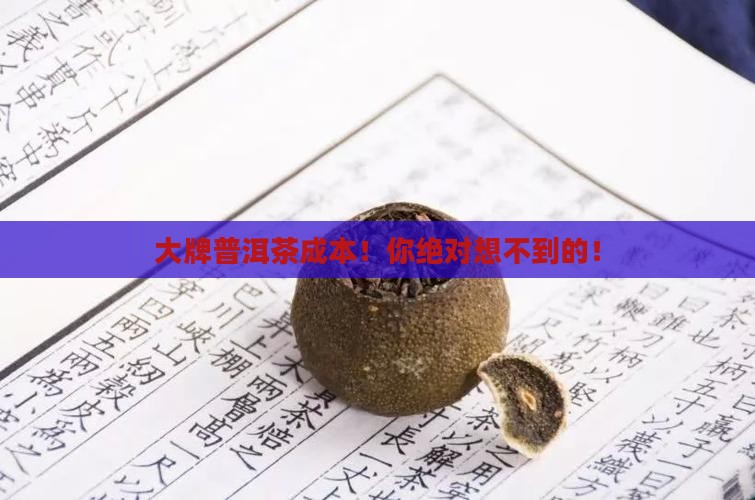 大牌普洱茶成本
