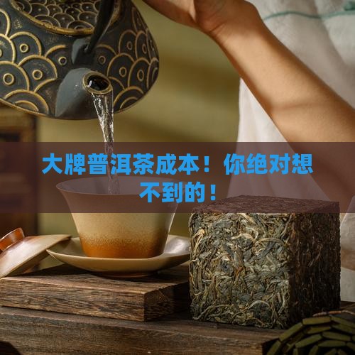 大牌普洱茶成本