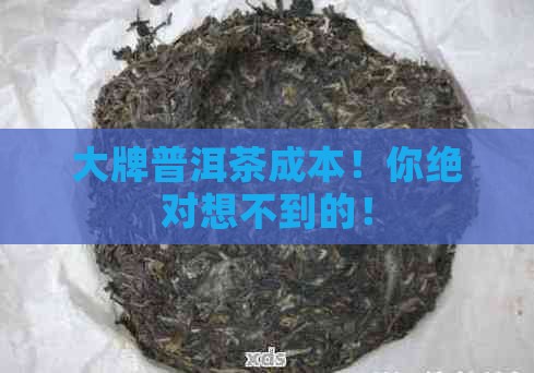大牌普洱茶成本