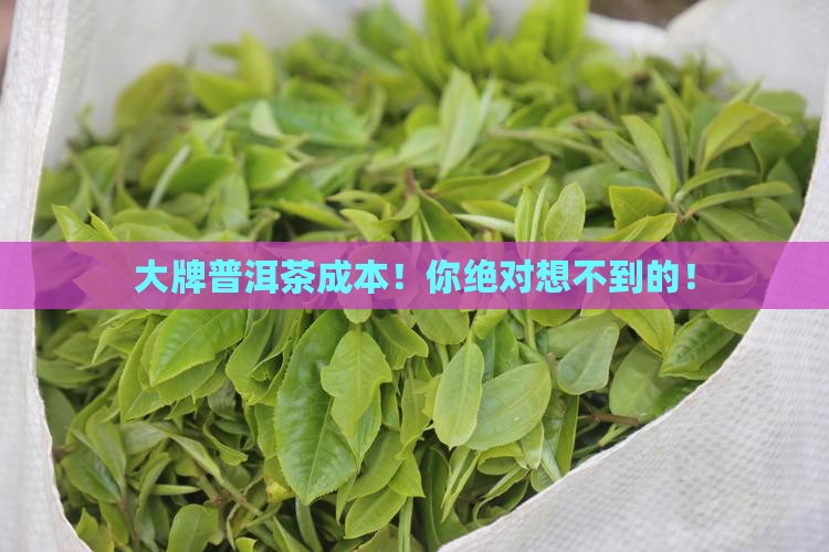 大牌普洱茶成本