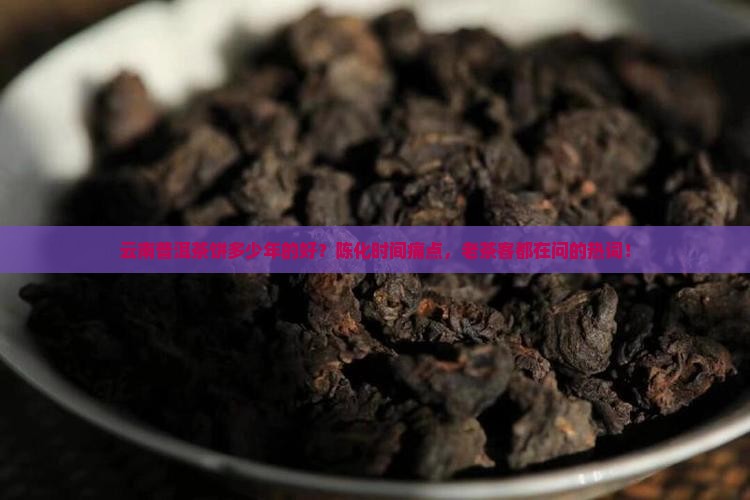 云南普洱茶饼多少年的好
