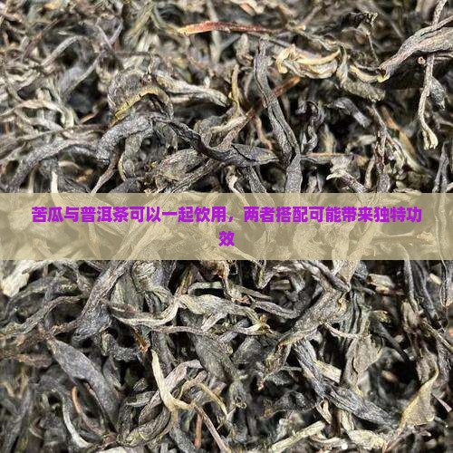 苦瓜与普洱茶能一起吃