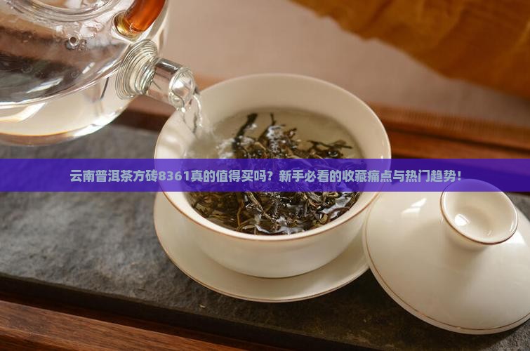 云南普洱茶方砖8361