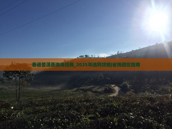 春诺普洱茶渤海经典