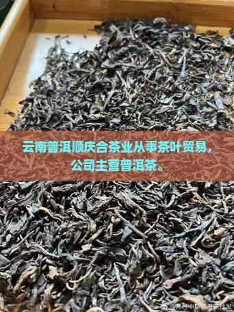 云南普洱顺庆合
