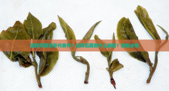 宝和祥普洱茶代表作