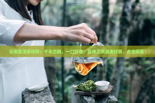 云南普洱茶茯砖