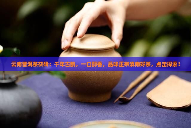 云南普洱茶茯砖