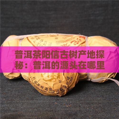 阳信古树普洱茶产地是哪里