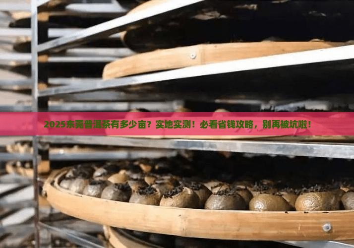 东莞普洱茶数量多少亩