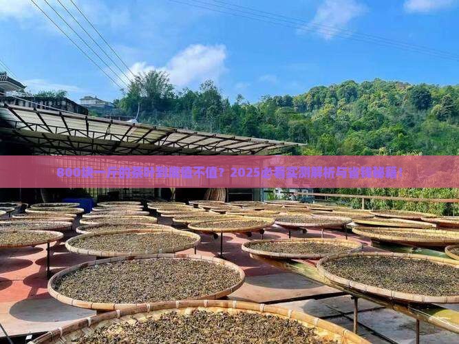 800块钱一斤的茶叶怎么样 800块钱一斤的茶叶怎么样