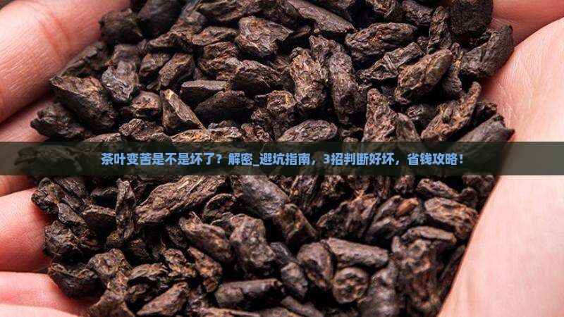 茶叶变苦是不是坏了
