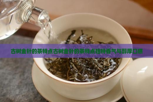 古树金针的茶特点