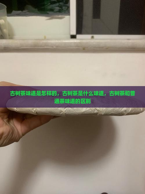 古树茶味道是怎样的