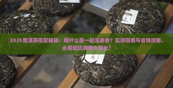 普洱茶喝什么茶可以一起泡