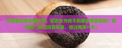 河源老班章加盟代理