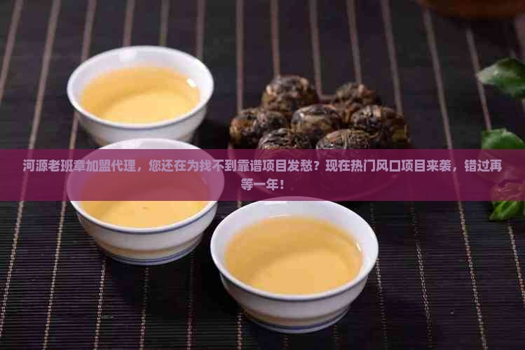 河源老班章加盟代理