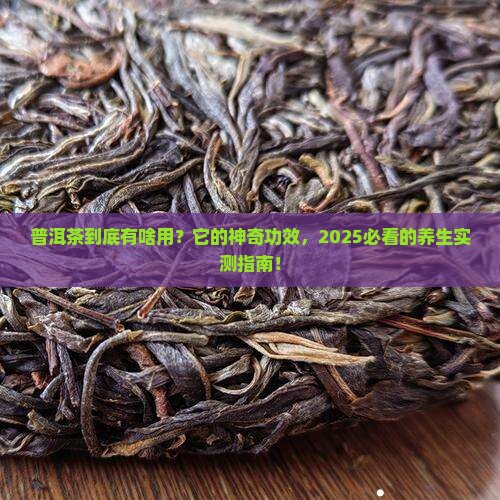 问道普洱茶的作用与功效