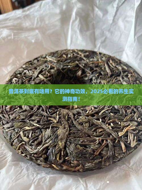 问道普洱茶的作用与功效