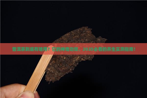 问道普洱茶的作用与功效