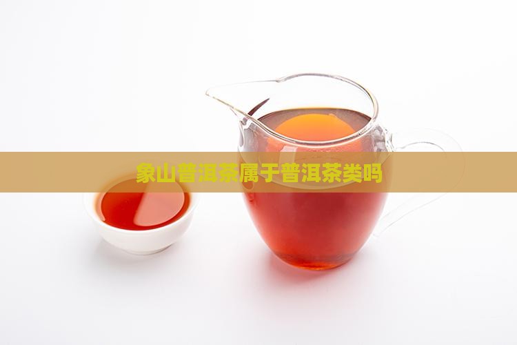 象山普洱茶是什么茶叶