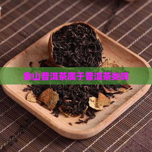 象山普洱茶是什么茶叶