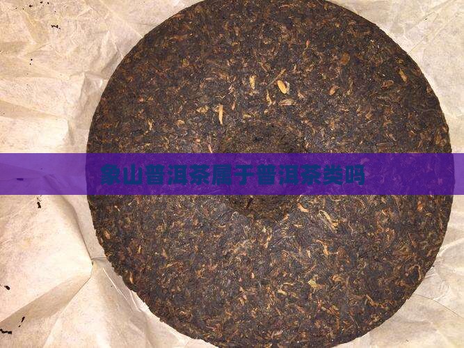 象山普洱茶是什么茶叶