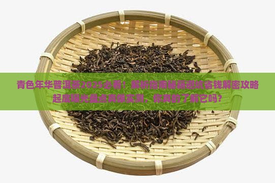 青色年华普洱茶