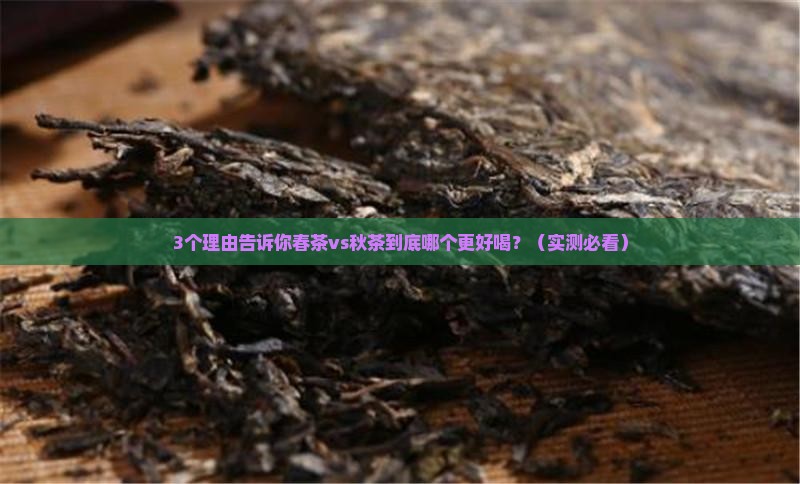 春茶好喝还是秋茶好喝