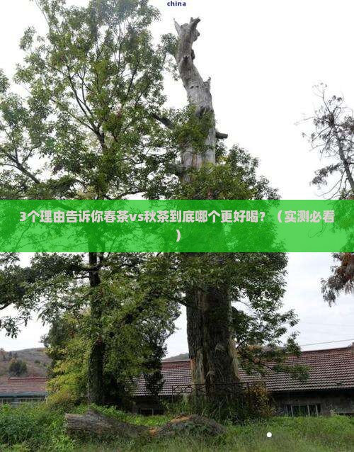春茶好喝还是秋茶好喝