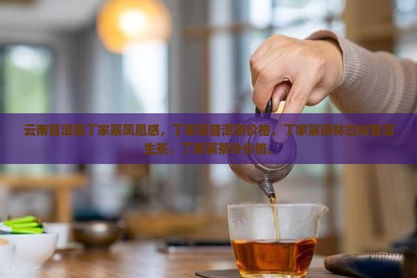 云南普洱茶丁家寨