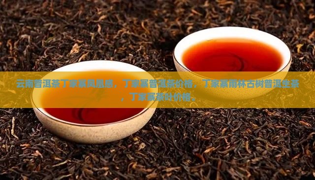 云南普洱茶丁家寨